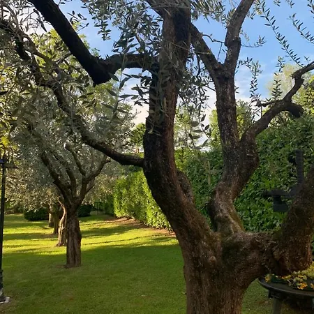 Foresteria Rustico Da Bena Snc